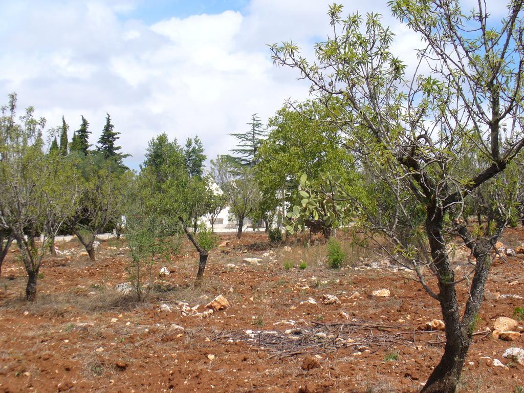 Trullo Riccardo Villa Ostuni Rum bild